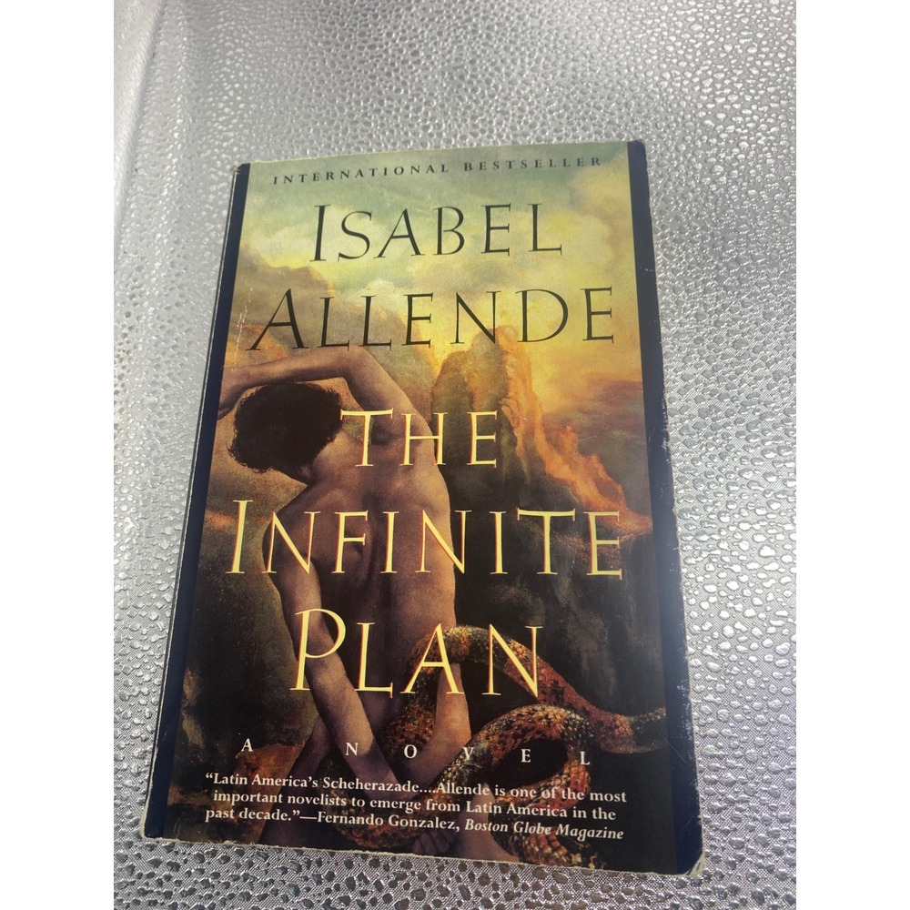The Infinite Plan by Isabel Allende Paperback Novel International Bestseller‎